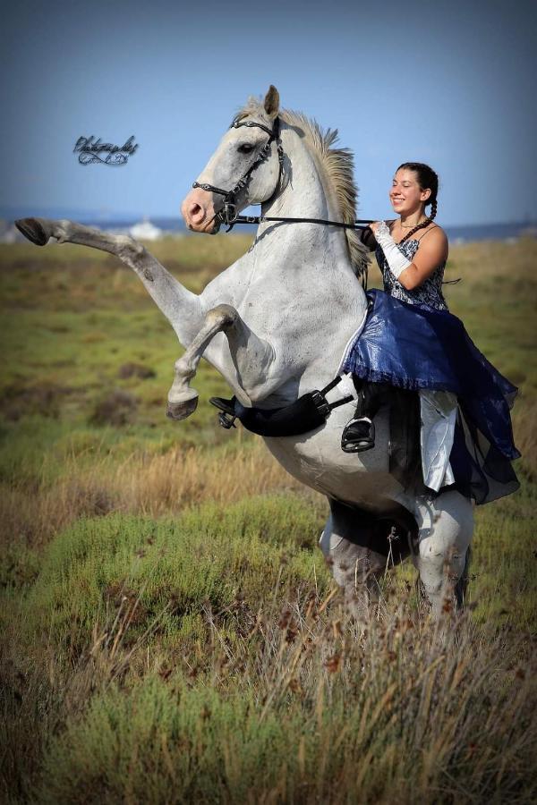 Апартаменты Repos Rouge-Plaisir Au Milieu Des Chevaux Kembs Экстерьер фото